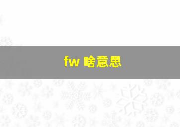 fw 啥意思